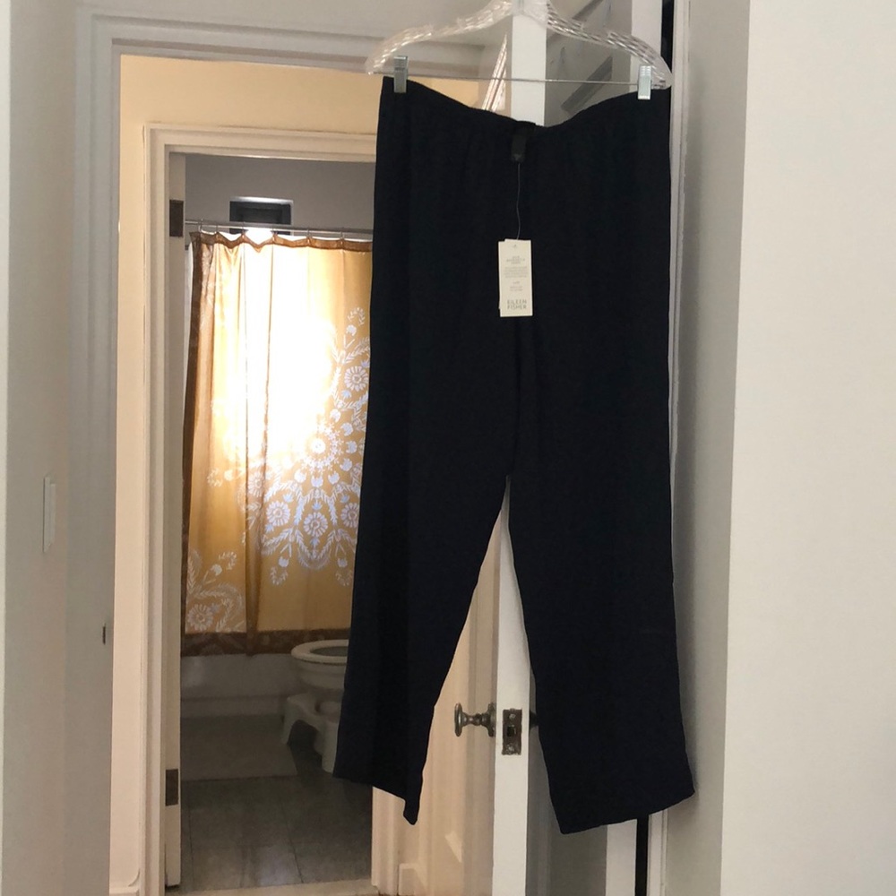 Eileen Fisher Silk Georgette Crepe Pants, size Petite L